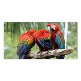 papuga-tropiki-dzungla-140x70-cm-panele-do-kuchni