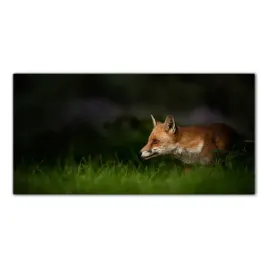lis-zwierze-natura-140x70-panele-szklo-hartowane