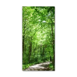 obraz-na-szkle-do-sypialni-70x140-cm-las-sciezka