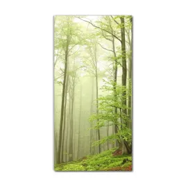 obraz-na-szkle-do-sypialni-70x140-krajobraz-drzewa