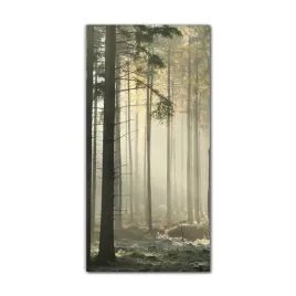 foto-obraz-na-szkle-do-kuchni-70x140-mgla-jesien