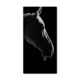 foto-obraz-na-szkle-nowoczesny-70x140-cm-noc-kon