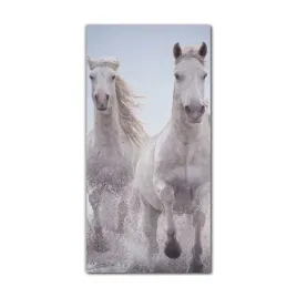 foto-obraz-na-szkle-do-kuchni-70x140-konie-galop