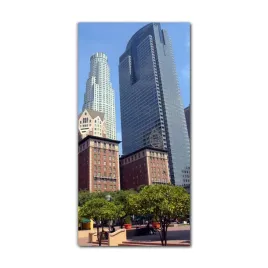 foto-na-szkle-do-salonu-70x140-budynki-los-angeles