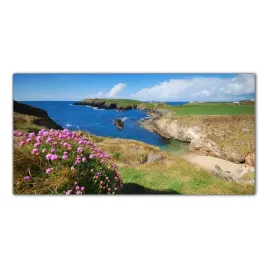 irlandia-wyspa-morze-140x70-panel-szklo-hartowane
