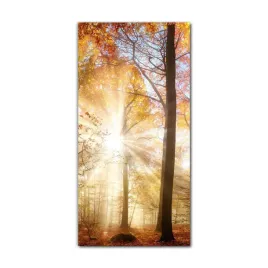 obrazy-szklane-do-kuchni-70x140-jesien-natura-las