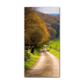 foto-obraz-na-szkle-na-sciane-70x140-jesienny-las