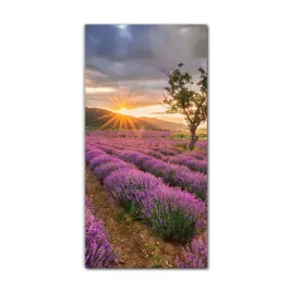 foto-obraz-scienny-grafika-70x140-lawendowe-pole