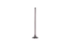 zawor-wydechowy-benelli-502-bn-leoncino-trk