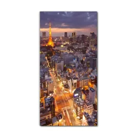 foto-obraz-scienny-grafika-70x140-japonia-miasto
