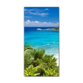 foto-obraz-szklany-do-salonu-70x140-seszele-palmy