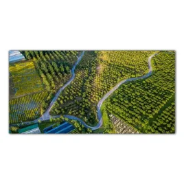 droga-drzewa-las-natura-140x70-lacobel-do-kuchni