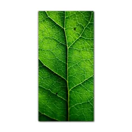 obraz-na-szkle-do-sypialni-70x140-natura-jesienia