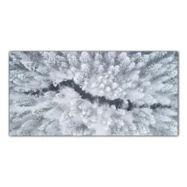 rzeka-zima-las-drzewa-140x70-panel-szklo-hartowane