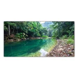 dzungla-krajobraz-las-140x70-panel-szklo-do-kuchni