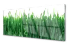 lacobel-panel-szklany-plytka-trawa-przyroda-120x60