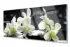 Kolor / wzór produktu #12
