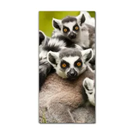 obraz-na-szkle-do-kuchni-70x140-madagaskar-afryka