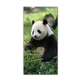 foto-obraz-na-szkle-do-kuchni-70x140-panda-chiny