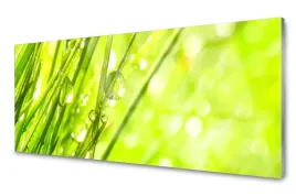 lacobel-panel-szklany-scienny-krople-trawa-120x60
