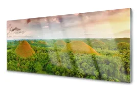 lacobel-panel-szklany-szklo-foto-las-widok-120x60