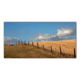 plot-linia-pole-140x70-cm-panele-szklo-hartowane