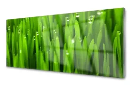 lacobel-szklany-dekor-szklo-trawa-roslina-120x60