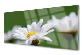 lacobel-szklany-dekoracyjny-foto-stokrotka-120x60