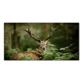 dziki-jelen-las-140x70-szklo-hartowane-do-kuchni