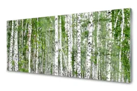panel-szklany-dekoracyjny-brzoza-las-drzewa-120x60
