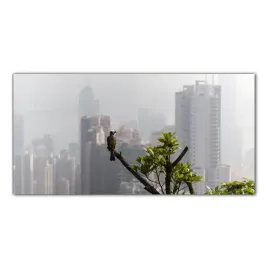 hong-kong-krajobraz-140x70-panele-szklane-kuchnia