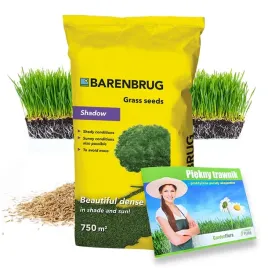 trawa-barenbrug-shadow-na-cien-15kg-nasiona-trawy-na-miejsca-zacienione