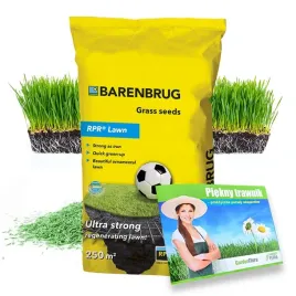 trawa-nasiona-barenbrug-rpr-lawn-regenerujaca-sportowa-odporna-deptanie-5kg