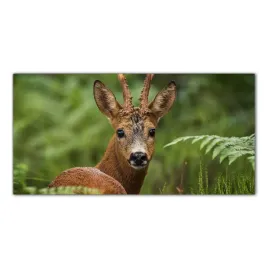 hartowany-obraz-szklany-jelen-las-zwierze-100x50