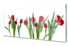 panel-szklany-plytka-tulipany-kwiaty-120x60
