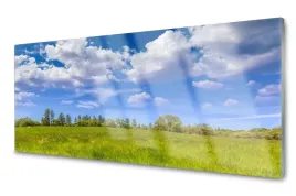 panel-szklany-plytka-laka-trawa-niebo-120x60