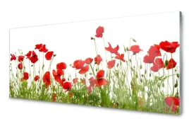 panel-szklany-plytka-laka-maki-kwiaty-120x60