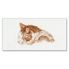 panel-kuchenny-na-plytki-hartowany-kot-120x60-cm
