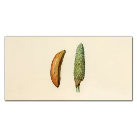 panele-szklane-do-kuchni-dekor-owoce-banan-120x60