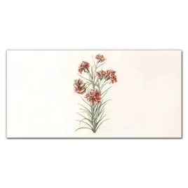 hartowane-panele-szklane-kwiaty-roslina-120x60-cm