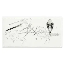 panel-scienny-do-kuchni-szklo-zwierze-ptak-120x60