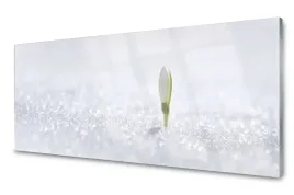 obraz-na-szkle-przebisnieg-snieg-zima-foto-125x50
