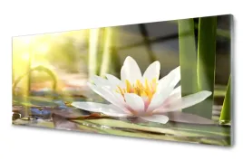 obraz-na-szkle-szklany-kwiat-lilia-wodna-125x50