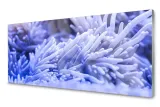 lacobel-panel-do-kuchni-scienny-abstrakcja-120x60