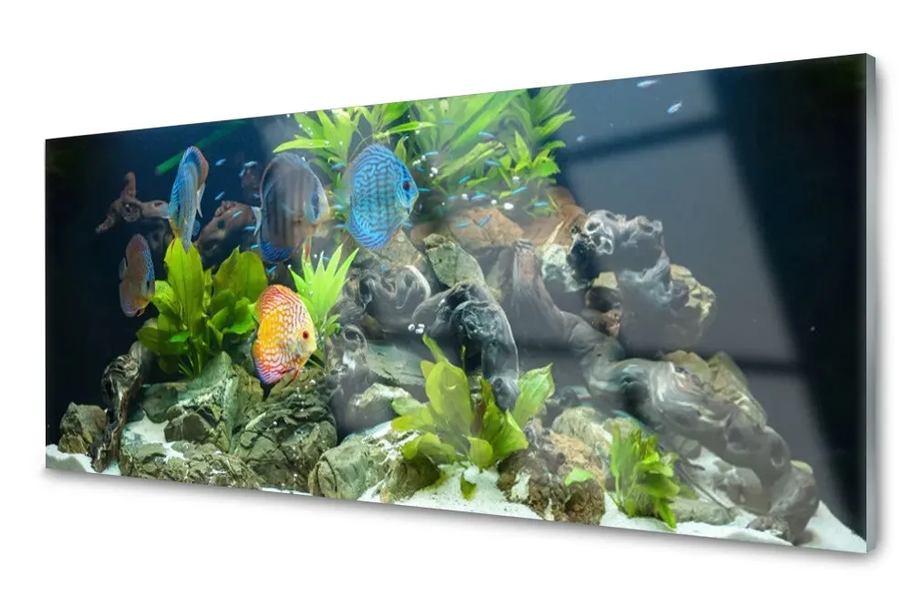 lacobel-panel-do-kuchni-scienny-ryba-liscie-120x60-stan-nowy