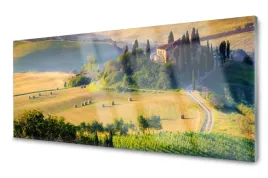 lacobel-panel-do-kuchni-scienny-pole-drzewa-120x60