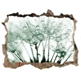 fototapeta-dziura-na-sciane-nasiona-dmuchawca