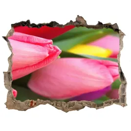 naklejka-3d-dziura-na-sciane-kolorowe-tulipany