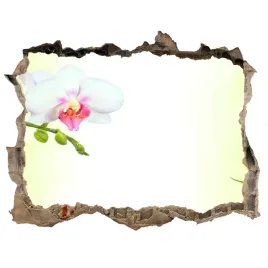 fototapeta-dziura-na-sciane-orchidea-i-bambus