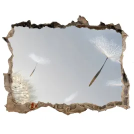 fototapeta-dziura-na-sciane-naklejka-dmuchawiec